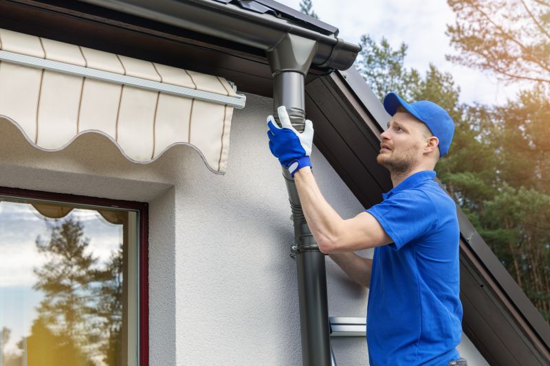 Gutter Cleaning in Summer